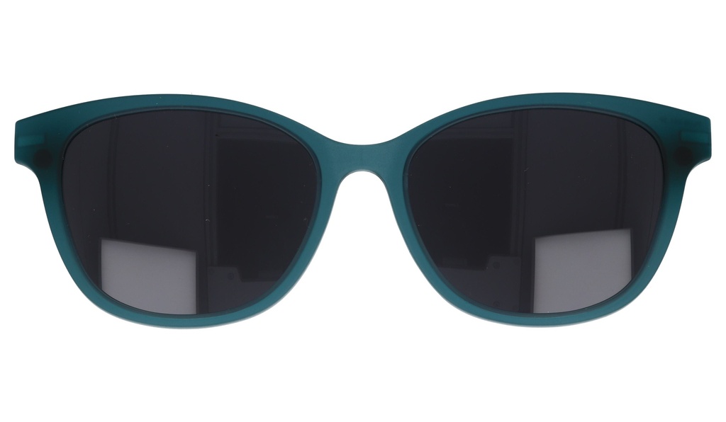 iGreen PL-041 Clip ONLY