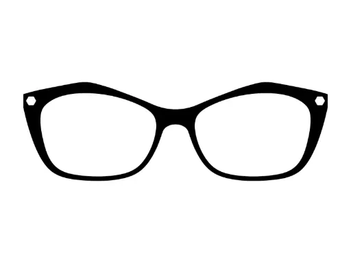 [OV0527CUSTOM] OV-527 CUSTOM