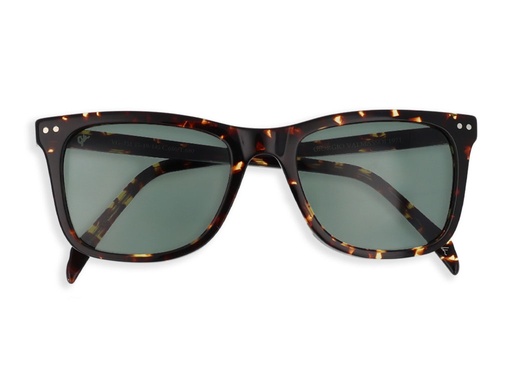 VG-733 SUNGLASSES